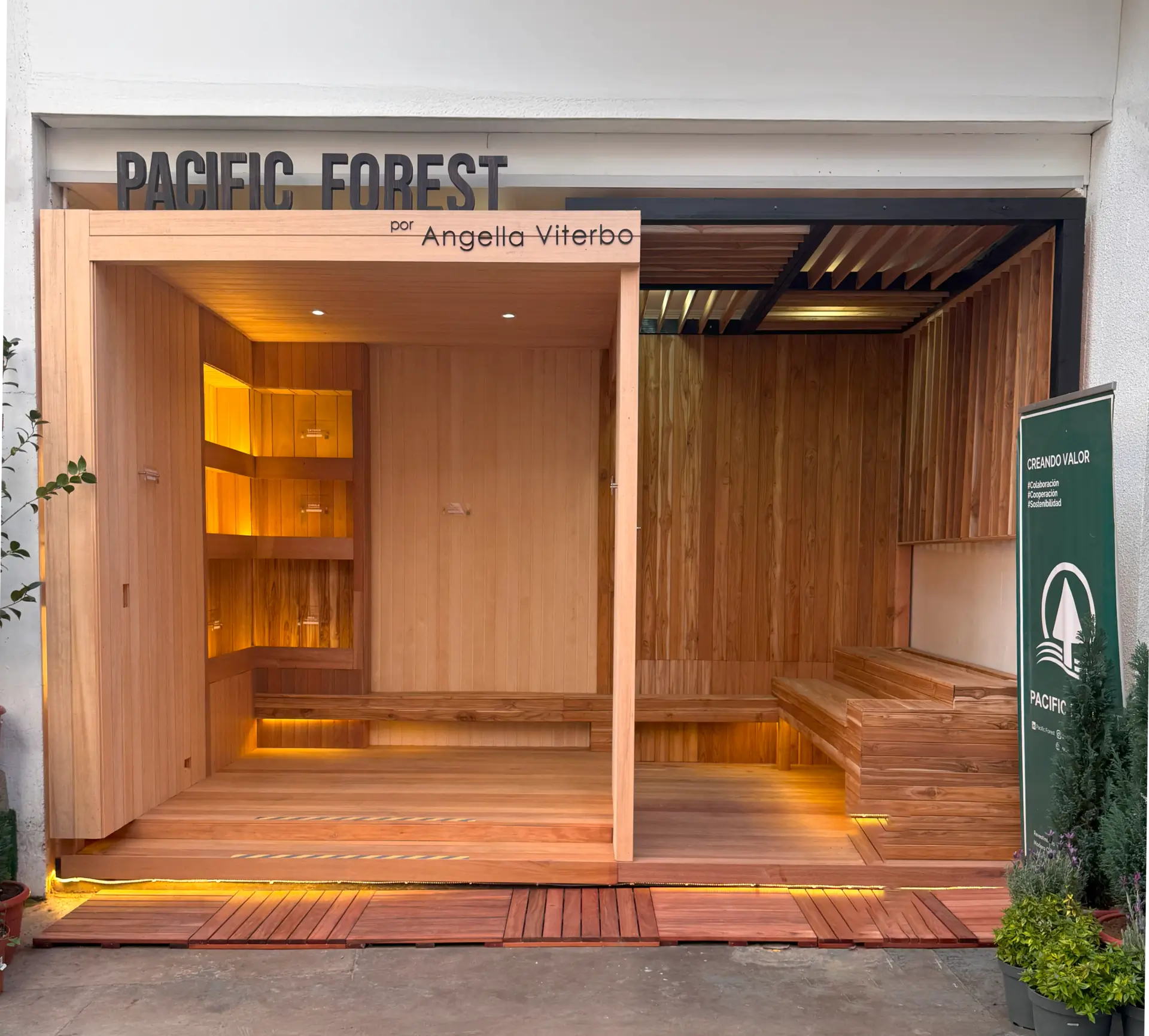 Blog Pacific Forest